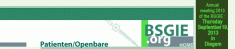 logo BSGIE