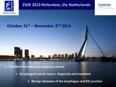 esde2013congressbanner.jpg
