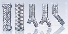 Groepsfoto AERstents